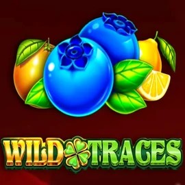 Wild Traces logo by Amusnet Interactive Tikitaka Casino
