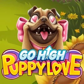 Go High Puppy Love logo by RubyPlay at Tikitaka Casino